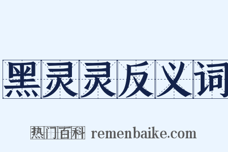 黑灵灵反义词是什么意思的图片